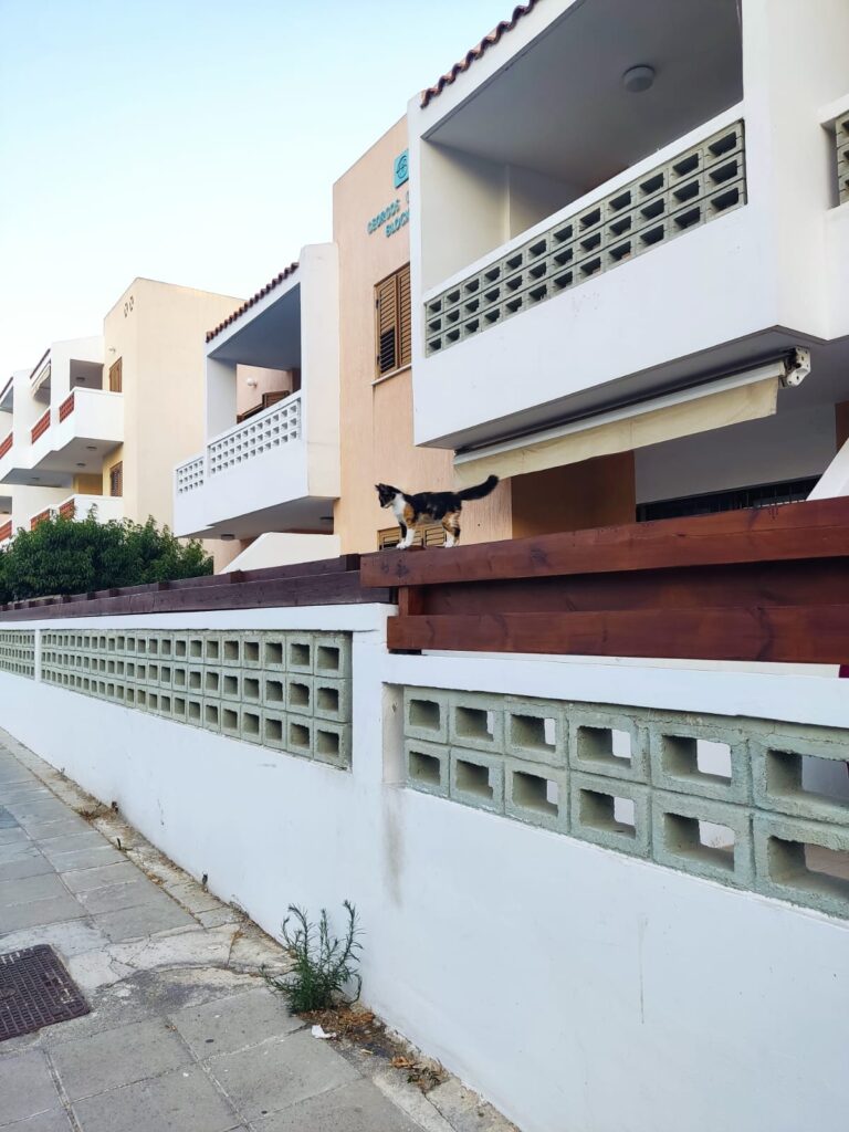 Muro casa de Paphos