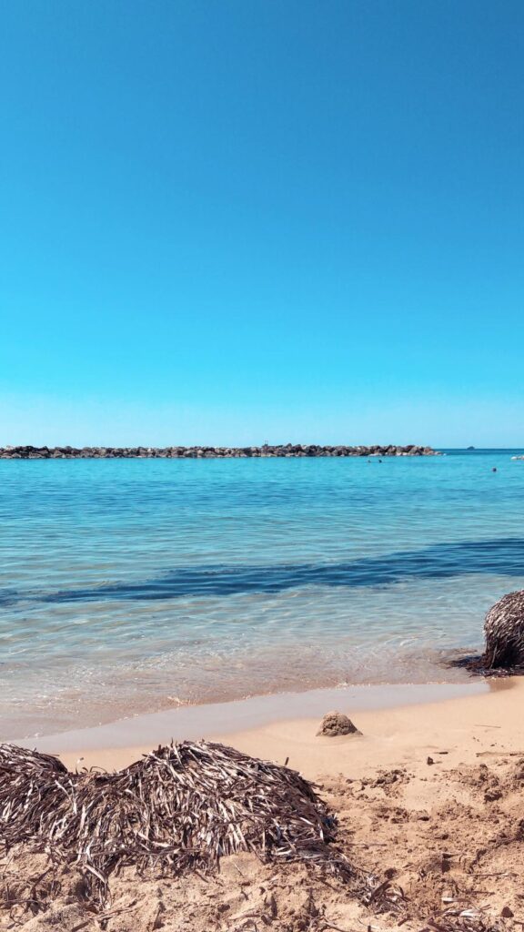 venus beach paphos