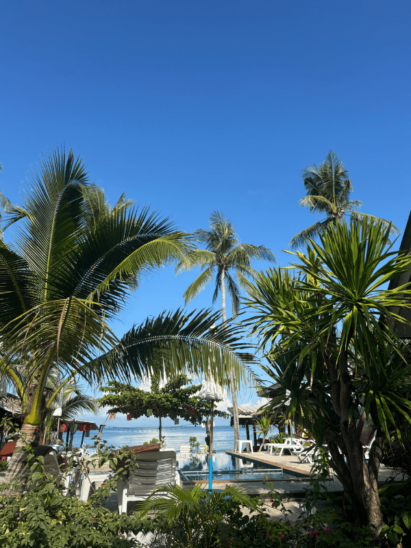 Vista do Sea Shell Beach Resort