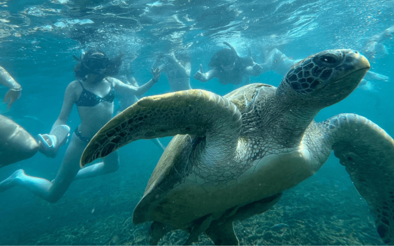 melhores ilhas tailândia